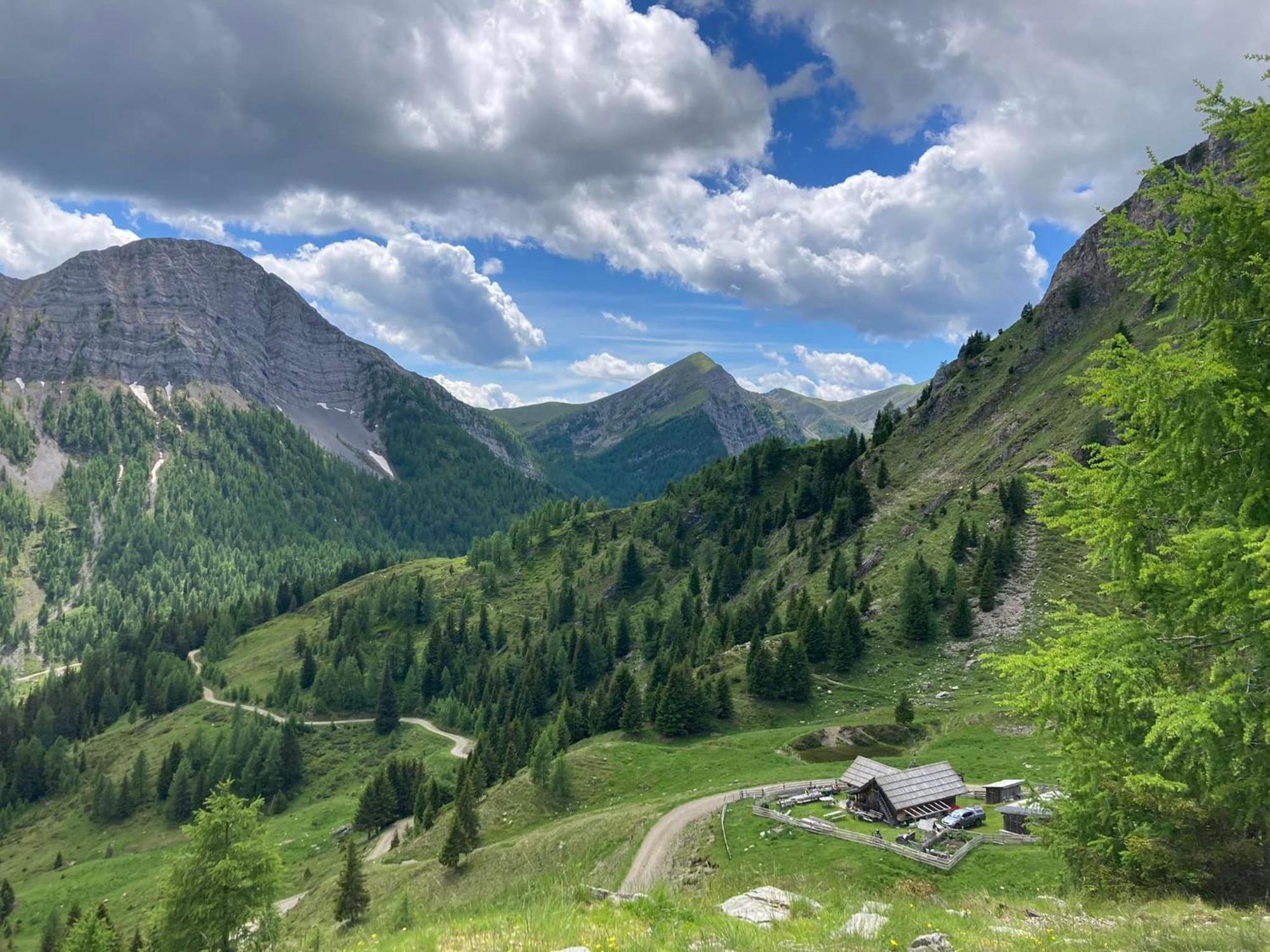 Gasthof Pension Perauer Lieserhofen المظهر الخارجي الصورة